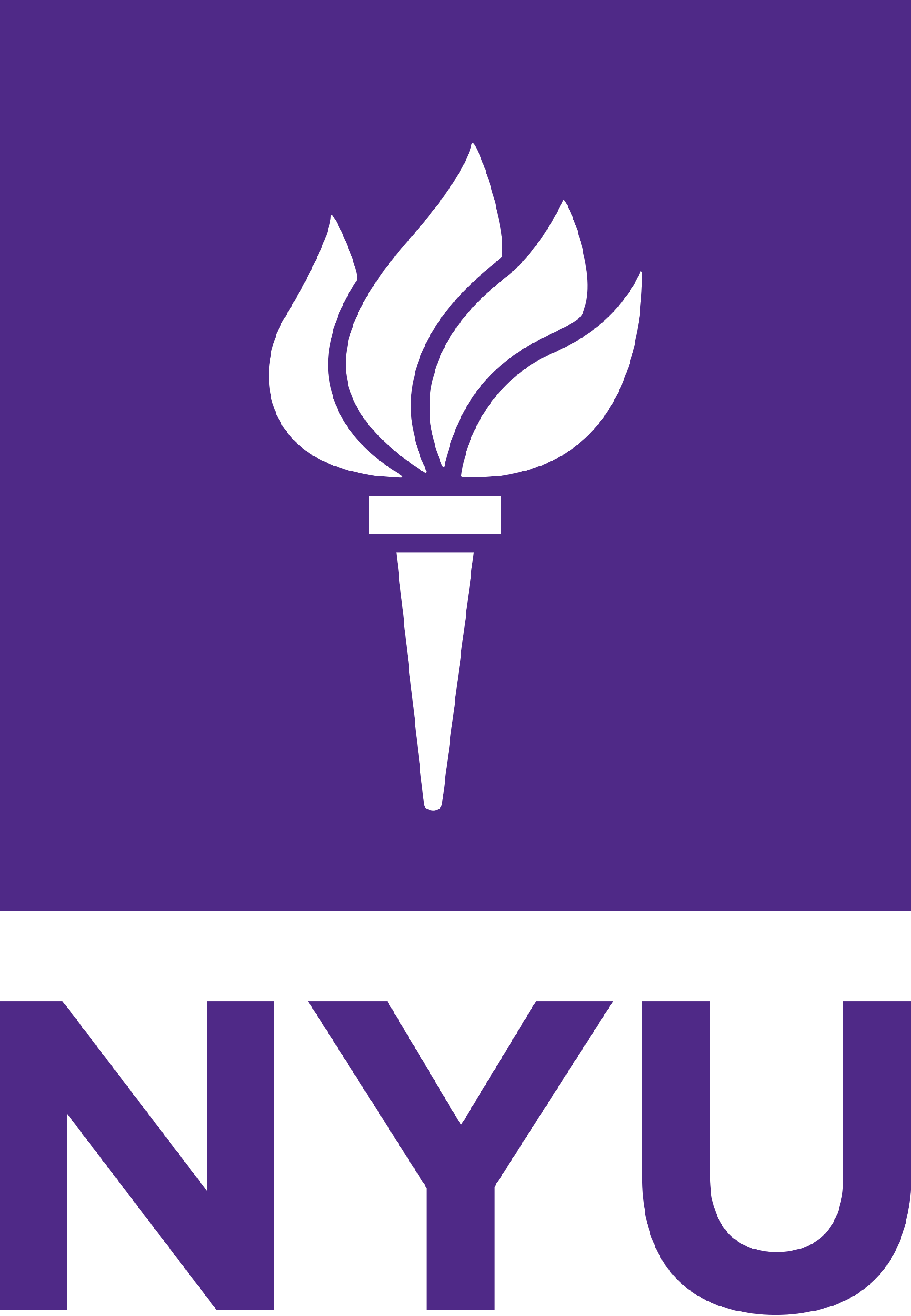 New York University